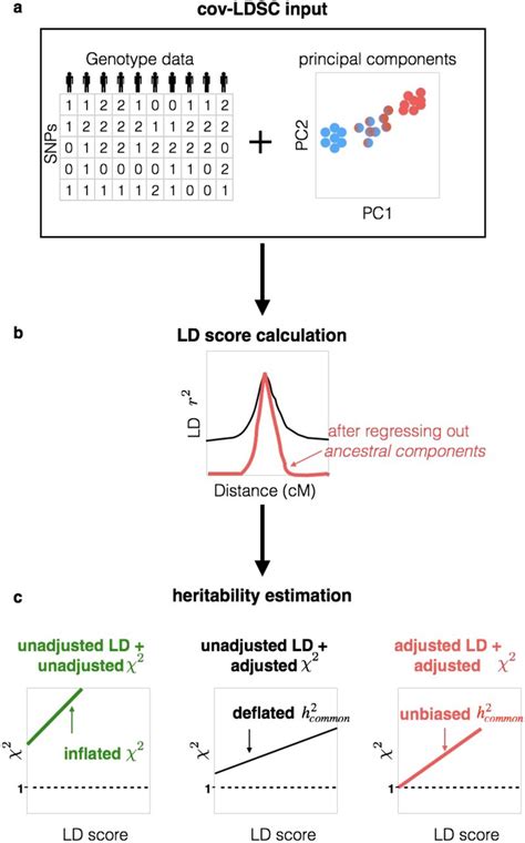 In Sample Cov Ld Scores | 23andMe | Bioz