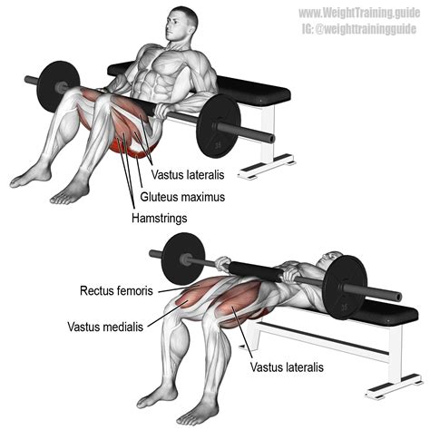 √ Barbell Hack Squat Form