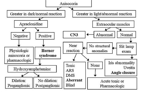 Lesson: Evaluation and Diagnosis of Pupil Disorders