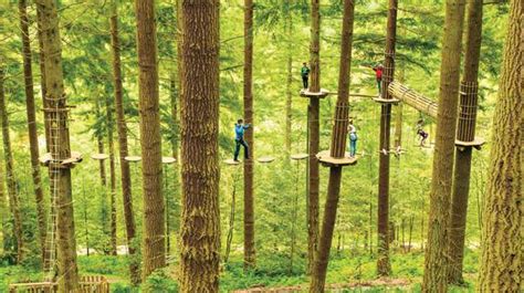 Take on adventures aplenty in Dalby Forest | VisitEngland