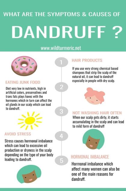 10 Top Causes, Symptoms & Treatments For Dandruff We Should Know - Wildturmeric