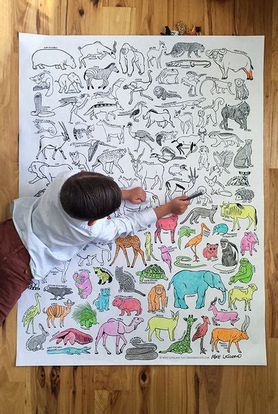 100 AFRICAN ANIMALS giant coloring poster | Caravan Shoppe