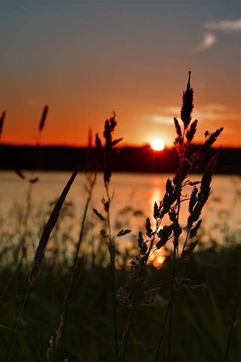 Gambar Pemandangan Senja - pranploaty