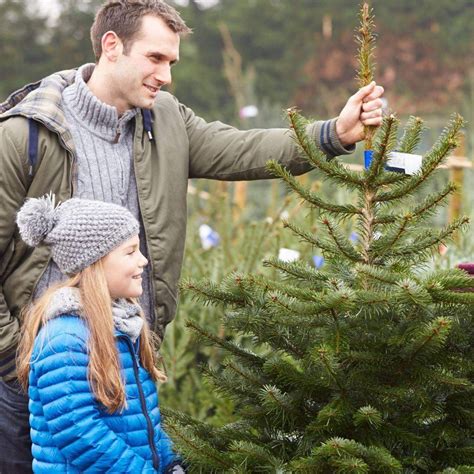 Hogshaw Farm & Wildlife Park Christmas Trees — DISCOVER BUCKINGHAM