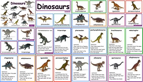 Herbivores Animals Types Of Teeth