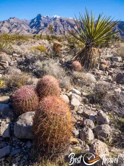 Gold Butte National Monument - Petroglyphs and Little Finland With Detailed Map