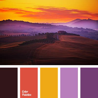 colours of sunrise | Color Palette Ideas