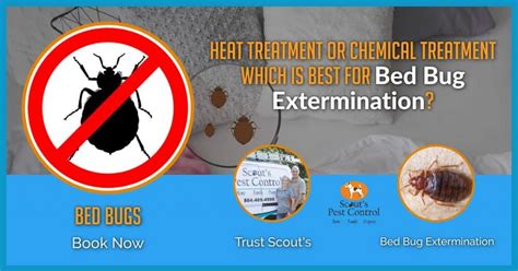 Does Bed Bug Heat Treatment Work Better Than Chemical?