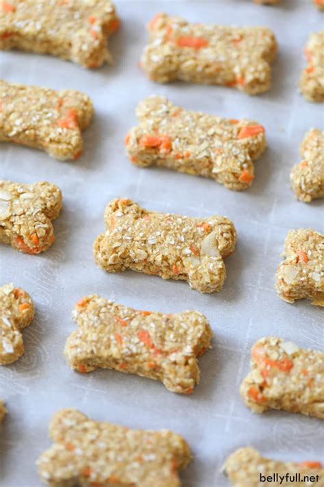 Carrot Cake Homemade Dog Treats - Belly Full