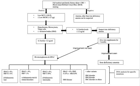 Laboratory Evaluation Of Alpha Thalassemia Article