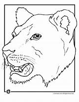 Lions Face Coloring Pages sketch template