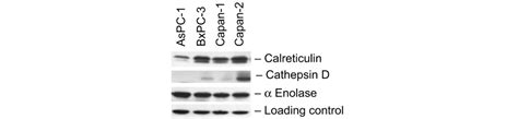 LabXchange