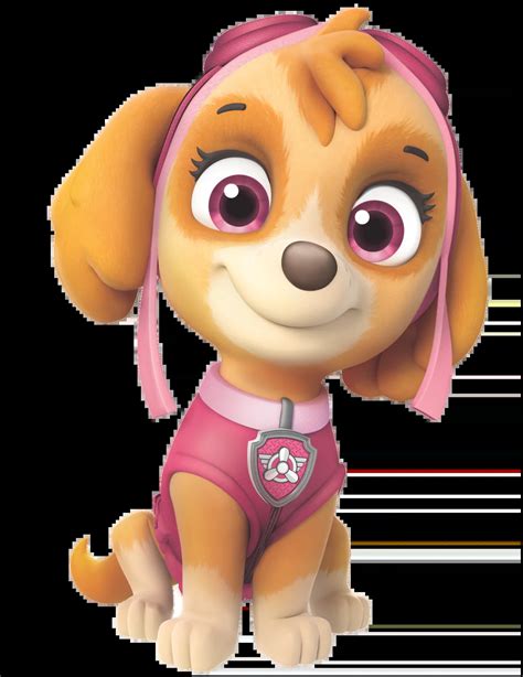 What Kind of Dog Is Skye from Paw Patrol? Cartoon Dogs Presented | Hepper