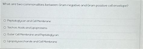 Solved What are two commonalities between Gram negative and | Chegg.com