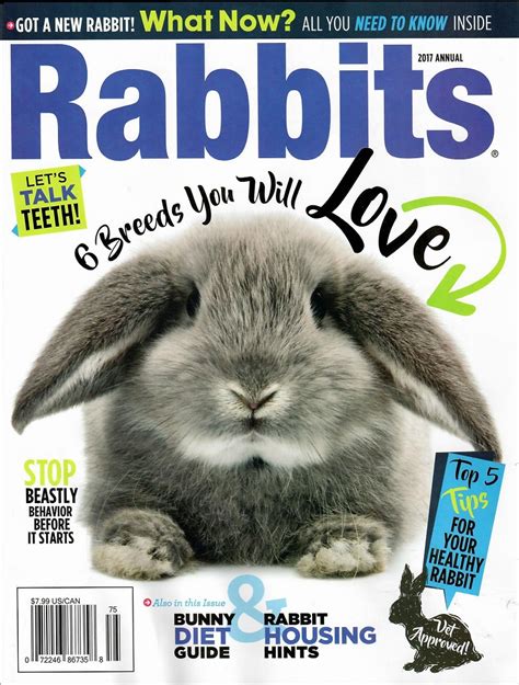 Bunny Rabbit Books, rabbit book, bunny book, rabbit magazine, bunny ...