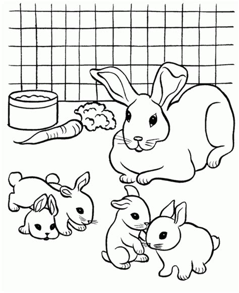 Coloring Pages | Free Rabbit Coloring Pages