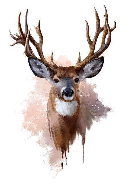 Deer Paintings