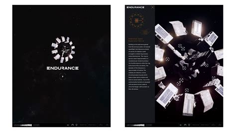 Interstellar Endurance Experience – Patrick Surace