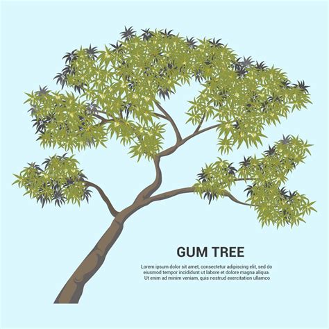 Gum Tree Vector Illustration 174168 Vector Art at Vecteezy