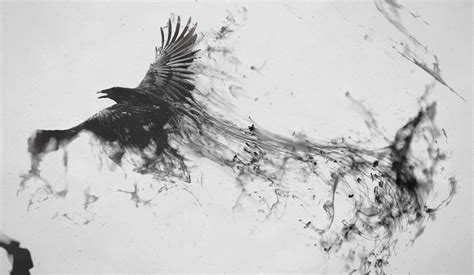 Ravens Black And White Dark Birds Digital Art Wallpapers HD / Desktop ...