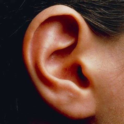 Inner ear disorders 'linked to hyperactivity ' - BBC News