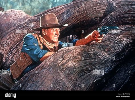 The Sons Of Katie Elder Year 1965 Director Henry Hathaway John Wayne Stock Photo - Alamy