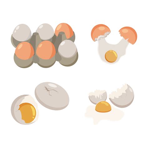 Set of chicken eggs 12978989 Vector Art at Vecteezy