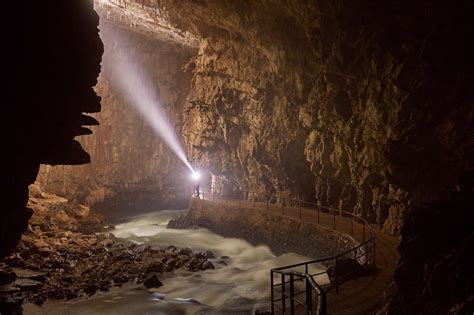 50 Breathtaking Postojna Cave Photos To Inspire You To Visit Slovenia