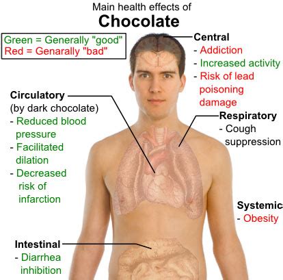 Chocotaster: Choco-Happy?