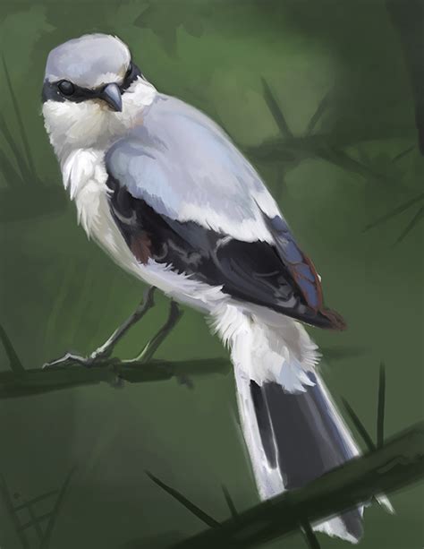 Shrike Study by ALRadeck on DeviantArt