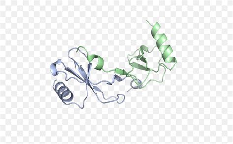 CCL2 Chemokine Lewis Structure Monocyte Chemotaxis, PNG, 508x507px, Chemokine, Body Jewelry, Cc ...