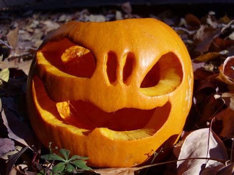 Stitch's Pumpkin by wintercool612 on DeviantArt