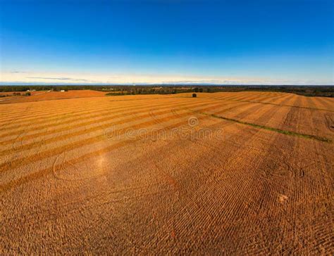 An Aerial View of a Soybean Field. Stock Photo - Image of rural ...