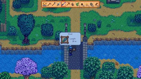 Stardew Valley Shad: Where to Catch & How to Use - Twinfinite