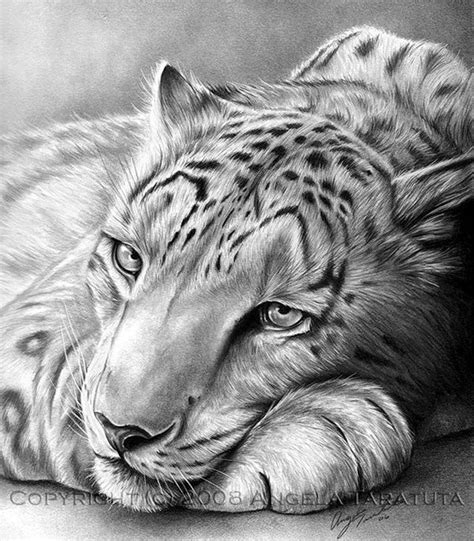 Easy Animal Drawings Realistic – Warehouse of Ideas