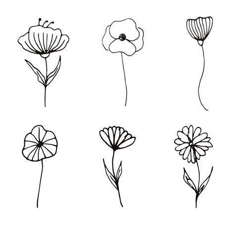 Flower Doodle Line Art, Doodle Flowers, Line Art Flowers, Doodle Art PNG Transparent Clipart ...