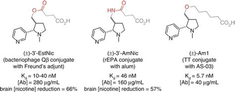 Hapten Design for Anti-addiction Vaccine Development | Basicmedical Key