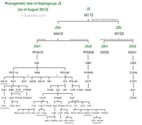 J2 (Y-DNA) - It is very likely that J2a, J1 and G2a were the three dominant male lineages the ...