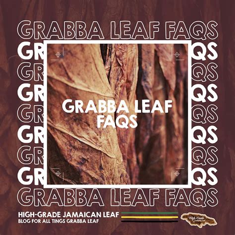 Grabba Leaf FAQs | Blog For All Things Grabba Leaf