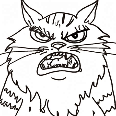 Line Drawing Angry Cat · Creative Fabrica