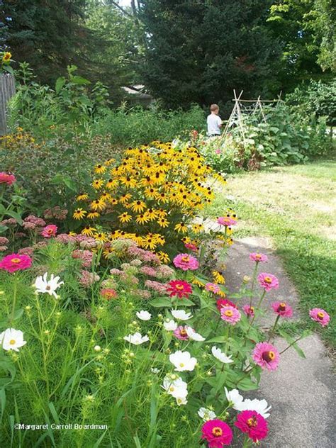 Summer Perennials for Border Flower Beds