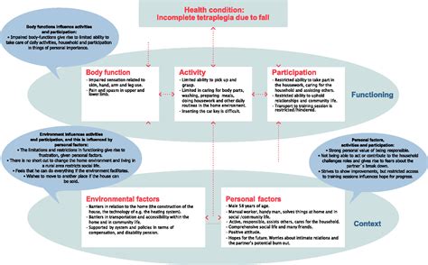 The ICF model as a practical tool to facilitate holistic communication with individuals during ...