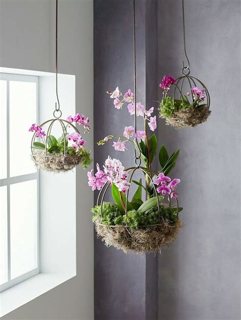 Cute Indoor Hanging Plants Ideas For This Spring 46 i 2020 | Växter, Gård