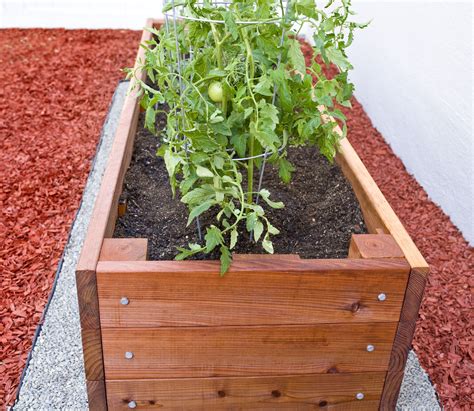 Large Redwood Planter Box for Tomatoes | Tomato planter, Garden planter ...