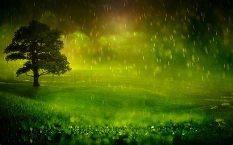 Nature Rain Wallpapers - Wallpaper Cave