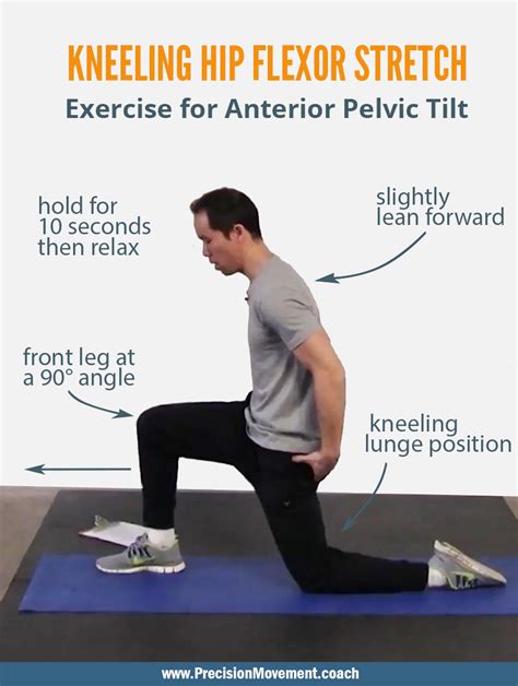 6 Minute Anterior Pelvic Tilt Exercise Program - Kneeling Hip Flexor ...