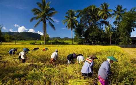 Natural Beauty of Bangladesh: Enjoy the Six Shades of Green