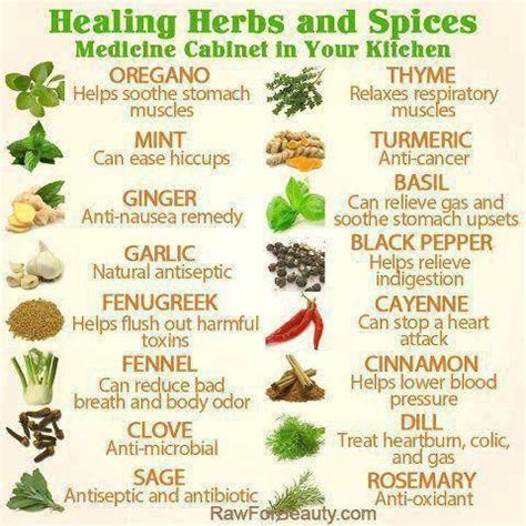 herbs list - Google Search | Healing herbs, Healing food, Herbal medicine