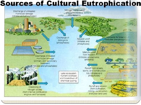 Water Pollution Examples of Polluted Waters WATER POLLUTION