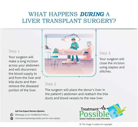 Liver Transplant Cost In India | Treatment Possible